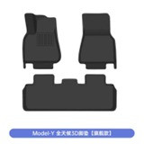 Model Y all-weather laminated foot mat